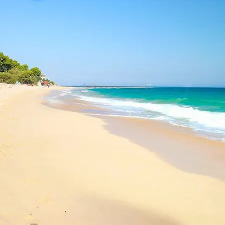 Abamar 4*