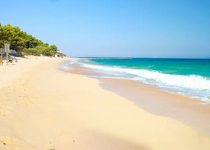 Abamar 4*